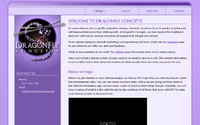 Dragonfly Concepts by Spotlight Website Design: Alachua Web Design | Alachua, Florida