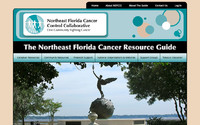 NEFCCC Cancer Resource Guide by Spotlight Website Design: High Springs Web Design | Alachua, Florida